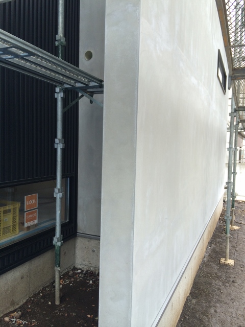 IMG_4567 (480x640).jpg