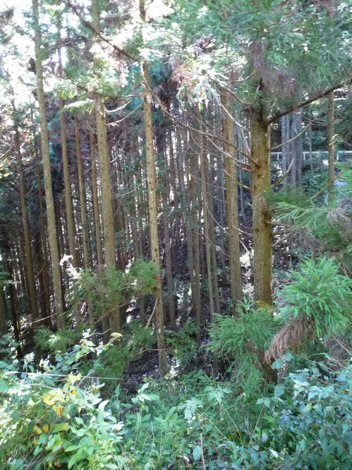 kannbatu2.jpgのサムネール画像