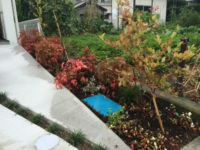 004.JPGのサムネール画像