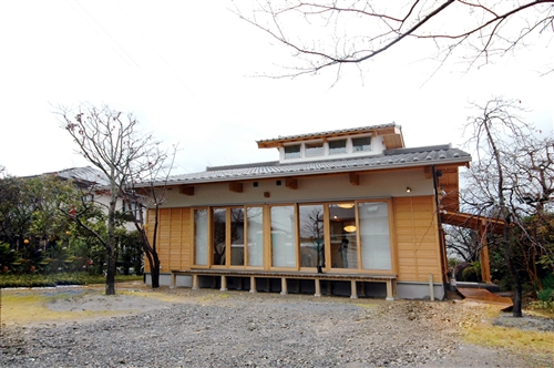 sugi301_t.jpg